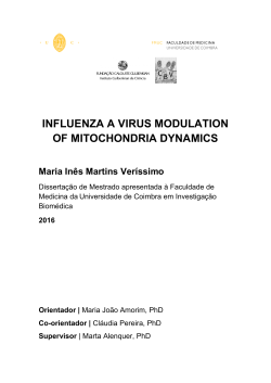 influenza a virus modulation of mitochondria dynamics