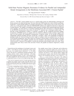 Solid-State Nuclear Magnetic Resonance Evidence for Parallel and