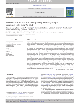 Broodstock contribution after mass spawning and size grading in