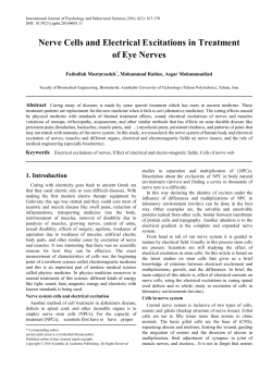 Electrical excitations of nerves, Effect of electrical and electro