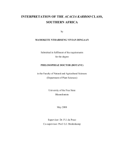 chapter one - University of the Free State