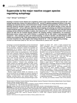 Superoxide is the major reactive oxygen species regulating