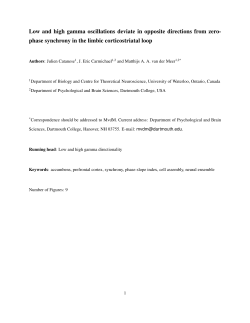 preprint pdf - van der Meer lab