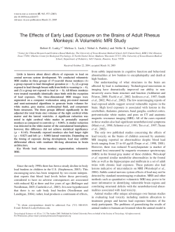 The Effects of Early Lead Exposure on the Brains