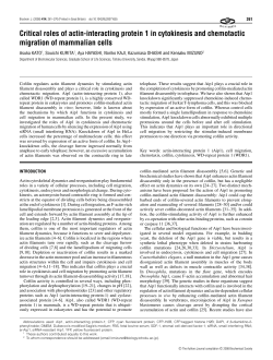 Critical roles of actin-interacting protein 1 in cytokinesis and