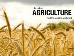 agriculture - MSU Anthropology
