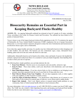 Biosecurity Remains an Essential Part in Keeping Backyard Flocks