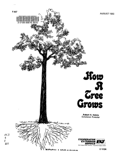 "ree GroltS