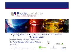 Exploring Barriers to Mass Transfer at the Intestinal Mucosa: The