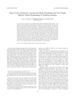 Dogs (Canis familiaris) Account for Body Orientation but Not Visual