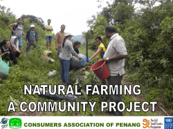 consumers association of penang - GEF