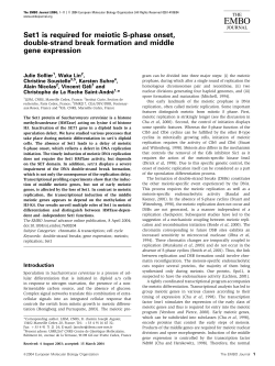 Set1 is required for meiotic S phase onset, double