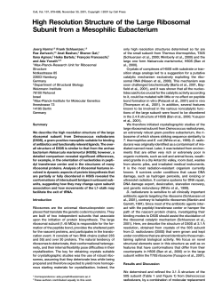 High Resolution Structure of the Large Ribosomal Subunit from a