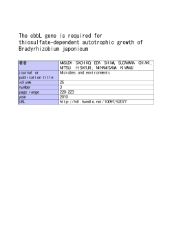 The cbbL gene is required for thiosulfate