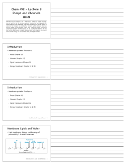 Print for note-taking