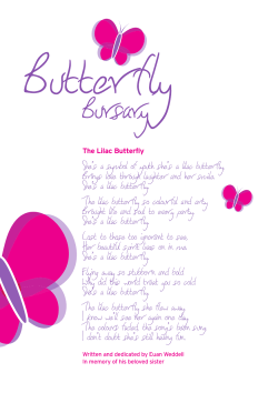 She`s a symbol of youth she`s a lilac butterfly, Brings love through
