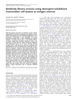Antibody library screens using detergent