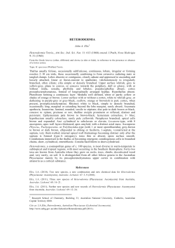 heterodermia - Australian National Botanic Gardens