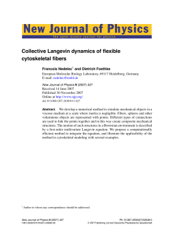 New Journal of Physics