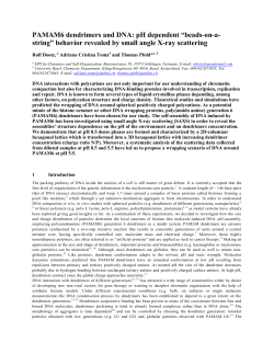 PAMAM6 dendrimers and DNA
