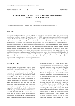 A LOWER LIMIT TO ADULT SIZE IN COLEOID CEPHALOPODS