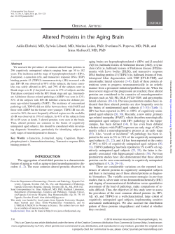 Altered Proteins in the Aging Brain