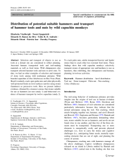 Distribution of potential suitable hammers and transport of hammer