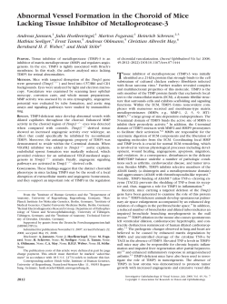 Abnormal Vessel Formation in the Choroid of Mice Lacking Tissue