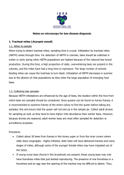 Notes on microscopy for bee disease diagnosis 1. Tracheal mites