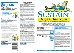 Algae Destroyer - KellySolutions.com