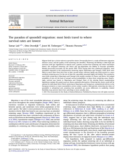 The paradox of spoonbill migration: most birds travel to where