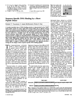 Sequence-Specific DNA Binding by a Short Peptide Dimer