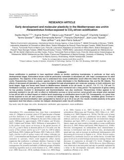 Early development and molecular plasticity in the Mediterranean