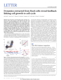 Dynamics extracted from fixed cells reveal feedback linking cell