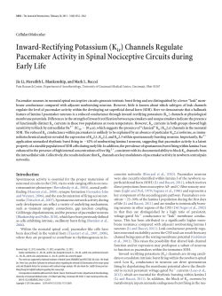 Inward-Rectifying Potassium (Kir ) Channels Regulate Pacemaker