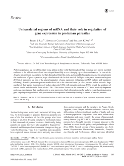 Untranslated regions of mRNA and their role in regulation of gene