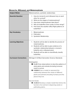Monarchs, Milkweed, and Metamorphosis