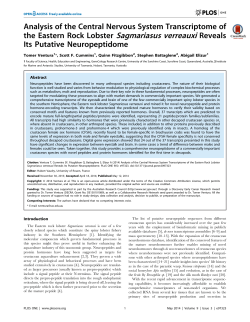 Analysis of the Central Nervous System Transcriptome of the
