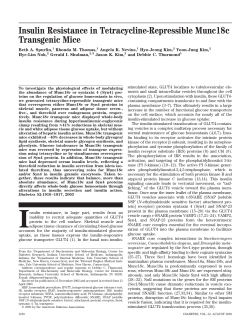 Insulin Resistance in Tetracycline-Repressible Munc18c
