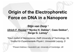 Origin of the Electrophoretic Force on DNA in a
