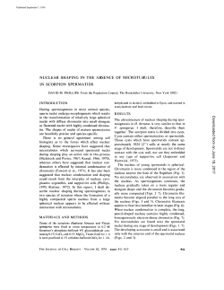 NUCLEAR SHAPING IN THE ABSENCE OF MICROTUBULES IN