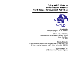 Boy Scout Badge Activities