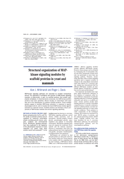 kinase signaling modules by scaffold proteins in yeast and mammals