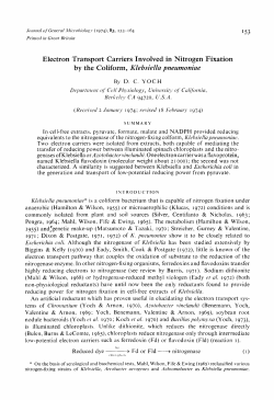 Electron Transport Carriers Involved in Nitrogen