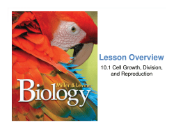 Lesson Overview - Enfield High School