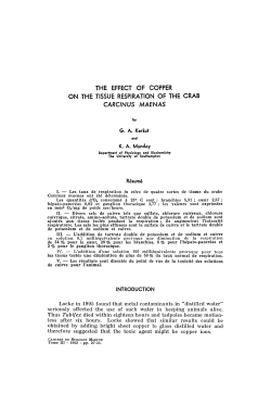 THE EFFECT OF COPPER ON THE TISSUE RESPIRATION OF THE