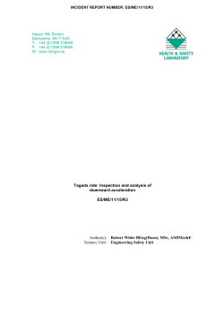 Tagada ride: Inspection and analysis of downward acceleration