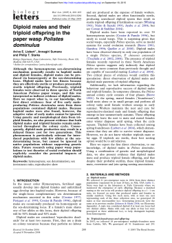Diploid males and their triploid offspring in the paper wasp Polistes