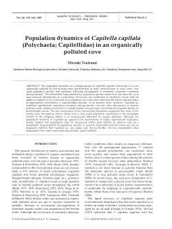 Population dynamics of Capitella capitata