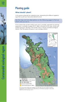 What to plant in Coromandel ecological region